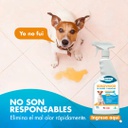 REMOVEDOR DE OLORES Y MANCHAS MASCOTAS PERROS